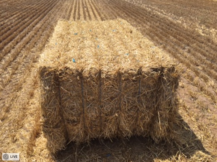 150mt Barley Straw 450kg approx 8x4x3 Bales Hay & Fodder